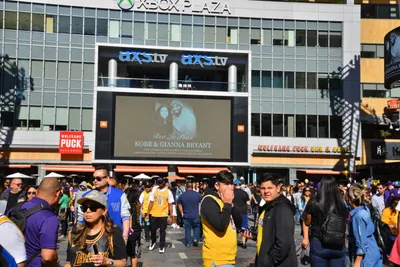 DSC_7191 (Large).JPG